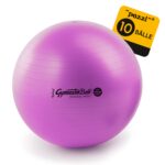 10 Original Pezzi® Gymnastikball MAXAFE