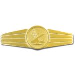 Abzeichen BW Sicherungspersonal Metall goldfarben alt – Zubehör | Outdoor Militär Tactical Gear