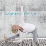 EO Mobility Flow (CD)