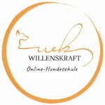 Ersttermin Online Hundeschule: Mit Bianca Willen