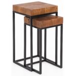 FineBuy Design Satztisch FB51457 Sheesham Metall Beistelltisch 2er Set klein, Couchtisch Set 2 Holz Tische, Massivholz Wohnzimmertisch Metallgestell, Schmaler Sofatisch Ablagetisch