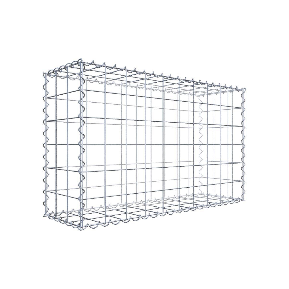 Gabione 100 cm x 60 cm x 30 cm (L x H x T)