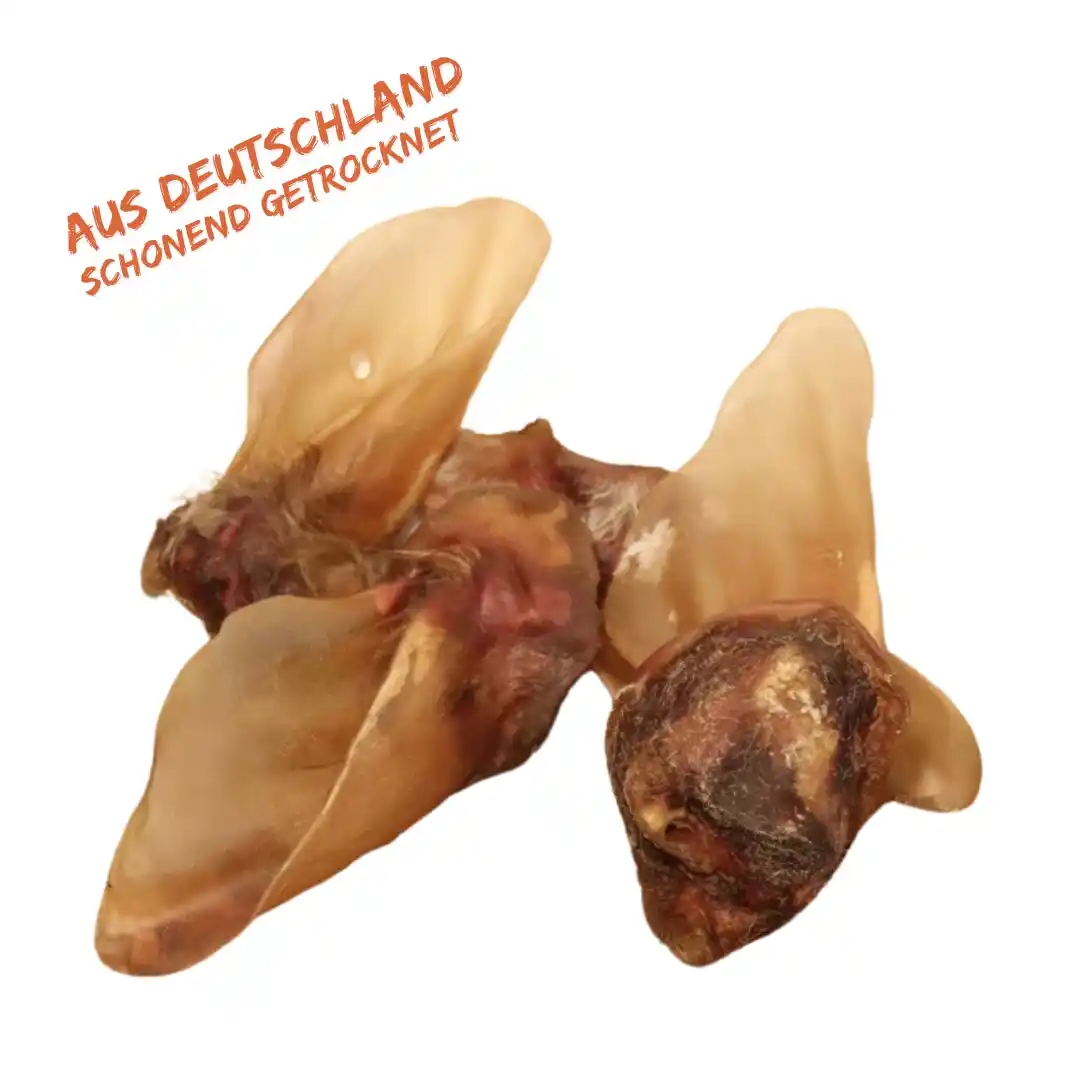 Getrocknete Rinderohren für den Hund Getrocknete Rinderohren für den Hund - Image 1