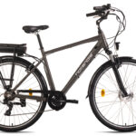 Hollandia E-Citybike Zagon 28" grau