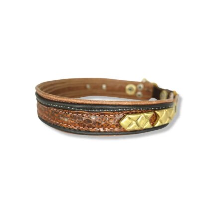 Hundehalsband barna #37