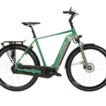 KROSS E-Citybike Sentio 6.0 28" grün