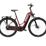 KROSS E-Citybike Sentio 6.0 28" rot