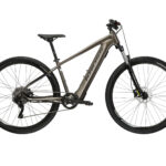 KROSS E-MTB Hexagon Boost 2.0 29" braun