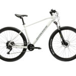 KROSS MTB Hardtail Hexagon 4.0 29" grau