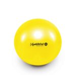 Original Pezzi® Gymnastikball MAXAFE - Sonderedition