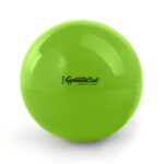 Original Pezzi® Gymnastikball STANDARD - Sonderedition