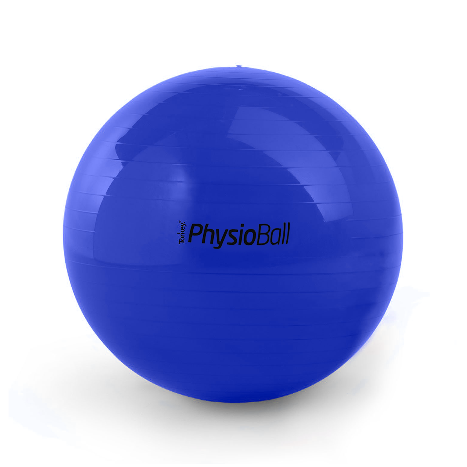 Original Pezzi® Physioball STANDARD Original Pezzi® Physioball STANDARD - Image 1
