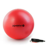 Original Pezziball MAXAFE m. Pumpe