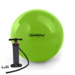 Original Pezziball STANDARD m. Standpumpe