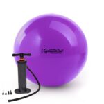 Original Pezziball STANDARD m. Standpumpe