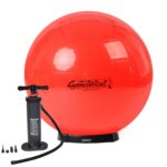Original Pezziball STANDARD m. Standpumpe und Ballschale