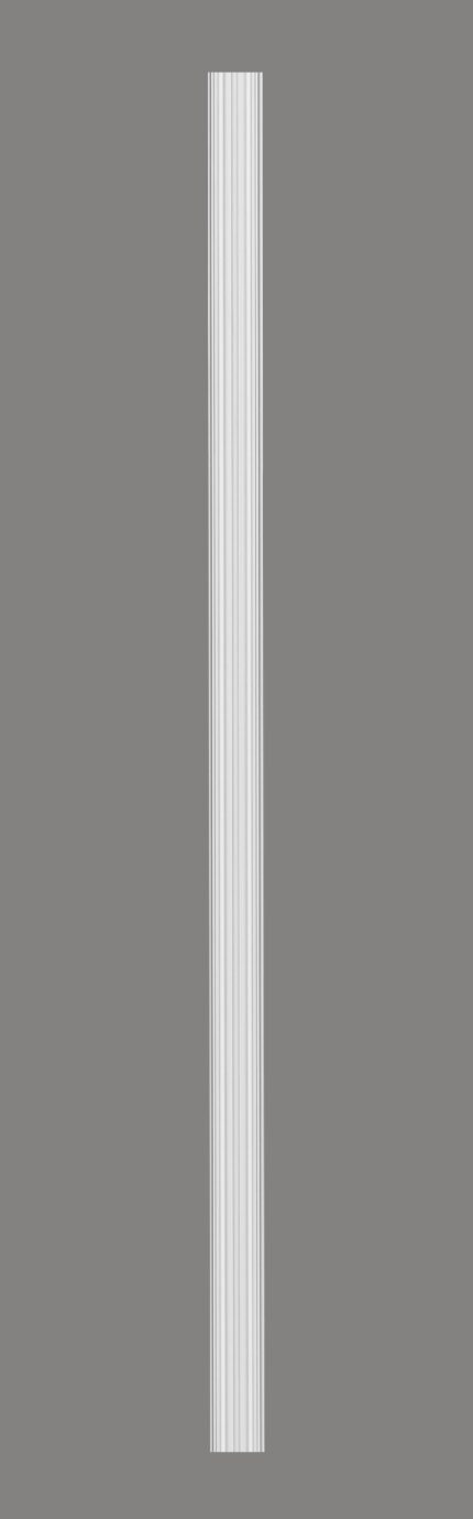Pilaster D1542