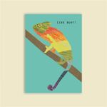 Postkarte Blankensteyn