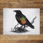 Postkarte Modell: "Clean the World II"