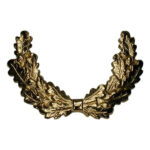 Schulterklappenauflage BW Dienstanzug Eichenlaub – Zubehör | Outdoor Militär Tactical Gear