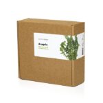 Smart Garten | Rucola-Pflanzkapseln – 9er-Pack